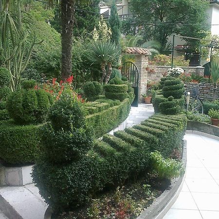Apartment City Garden Kotor Oda fotoğraf