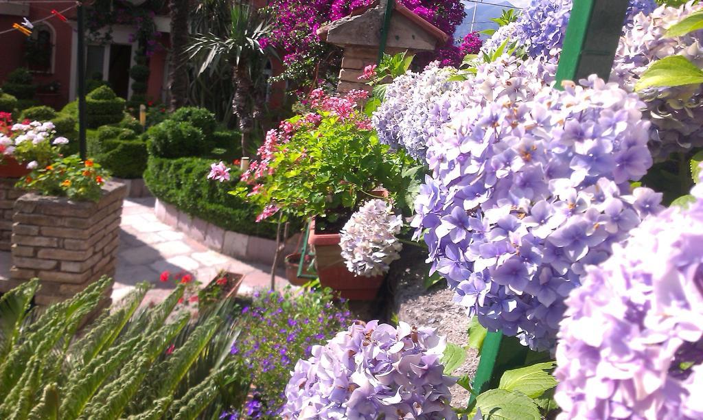 Apartment City Garden Kotor Oda fotoğraf