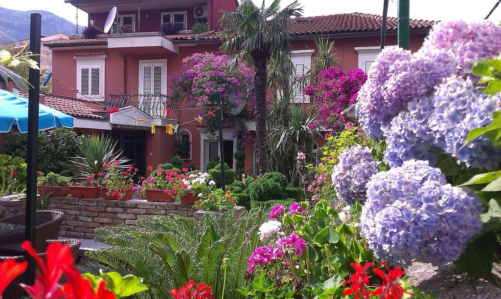 Apartment City Garden Kotor Oda fotoğraf